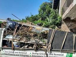 Best Construction Debris Removal  in Jeffersonville, OH